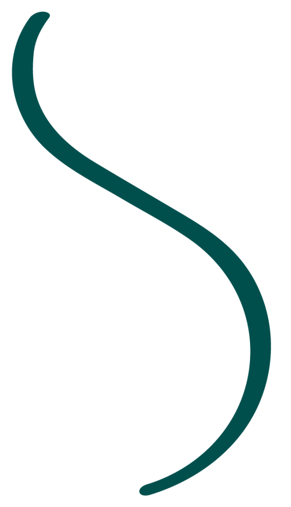détail du logo MSG, le S représenté par un tracé sinueu x, comme un trait de crayon ou de stylet, pour représenter l'illustration et le dessin.