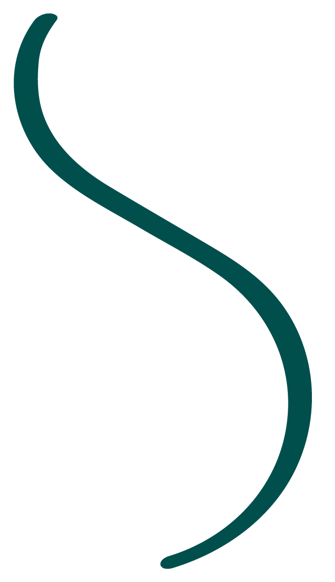 détail du logo MSG, le S représenté par un tracé sinueu x, comme un trait de crayon ou de stylet, pour représenter l'illustration et le dessin.